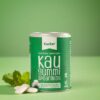 Ein grüner Kanister mit der Aufschrift "XUCKER XYLIT KAUGUMMI 10170" ist neben weißen Kaugummistücken und Minzblättern auf grünem Hintergrund zu sehen.