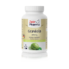 Eine Flasche GRAVIOLA KPS 500MG ZEINPH. enthält 90 Kapseln à 500 mg und ist auf dem Etikett mit einer Abbildung der Graviola-Frucht versehen.