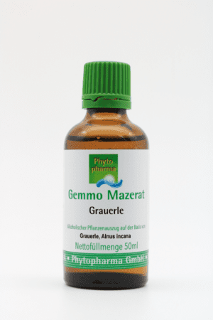 Ein 50 ml Pflanzenextrakt aus Erle (Alnus incana) von Phytopharma, verpackt in einer braunen Flasche mit der Aufschrift „Gemmo Mazerat Grauerle“ und einem grünen Deckel.
