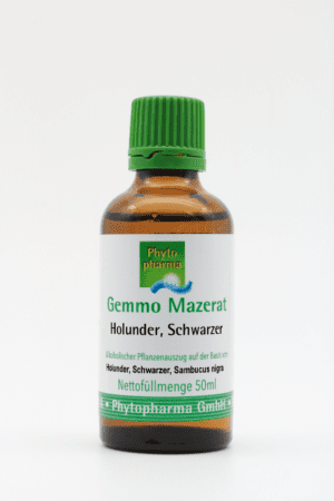Eine 50ml braune Flasche GEMMO MAZERAT SCHW. HOLUNDER PHYTOPHARMA, mit alkoholischem Sambucus nigra-Extrakt, mit grünem Verschluss von Phytopharma GmbH.