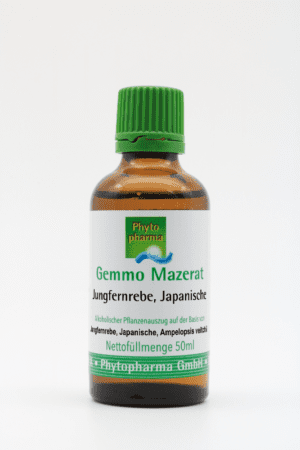 Eine 50ml braune Flasche mit grünem Verschluss und der Aufschrift „Gemmo Mazerat Jungfernrebe Phytopharma“ der Phytopharma GmbH enthält einen alkoholbasierten Pflanzenextrakt.