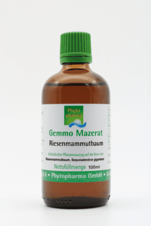 Eine braune Flasche mit grünem Verschluss und der Aufschrift „GEMMO MAZERAT RIESEN MAMMUTBAUM PHYTOPHARMA“ enthält 100 ml Flüssigkeit.