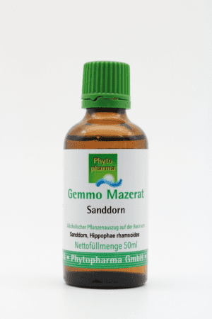 Eine braune Flasche mit der Aufschrift „GEMMO MAZERAT SANDDORN PHYTOPHARMA“ und grünem und weißem Text, Inhalt 50 ml.