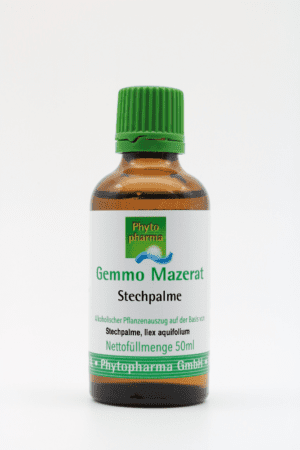Eine kleine braune Flasche mit der Aufschrift „Gemmo Mazerat Stechpalme“, mit grünem Verschluss und grünem Text. Enthält 50ml Flüssigextrakt aus Ilex aquifolium von Phytopharma GmbH.