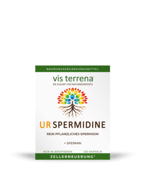 Bei der Packung mit der Aufschrift „VISTERRENA UR SPERMIDINE KPS“ und dem Baumlogo handelt es sich um ein in der Apotheke erhältliches Nahrungsergänzungsmittel mit pflanzlichem Spermidin, das 120 Kapseln enthält.
