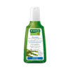 Grüne Flasche SH.RAUSCH MEEREST.FETT-STOPP Anti-Fett-Shampoo mit Algenextrakt und 40% Wirkstoffkonzentration.