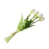 Ein Strauß von sechs weißen Tulpen mit grünen Stielen und Blättern, zusammengebunden mit einer leichten Schnur, isoliert auf einem weißen Hintergrund.