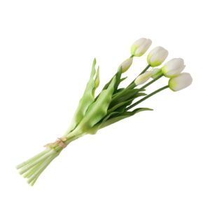 Ein Strauß von sechs weißen Tulpen mit grünen Stielen und Blättern, zusammengebunden mit einer leichten Schnur, isoliert auf einem weißen Hintergrund.